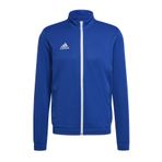 adidas Erkek Spor Ceketi Mavi
