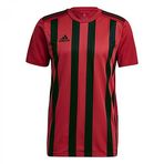 adidas Erkek Striped 21 Jsy Forma, Tmpwrd/Black, Xl