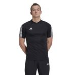 ADIDAS Erkek tişörtü, Siyah, XL