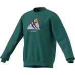adidas Erkek Yeşil Sweatshirt SNOW CREW KE2319