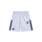 adidas Fenerbahçe S.K. Çocuk 25/26 Şort FEN H SHO Y KD7289