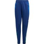 Adidas Fıgc Tr Pnty Pantolon Iq2161