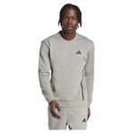 adidas Gg Crew Sweatshirt, XL, 01-JC5695-2, Gri, erkek