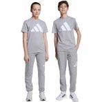 Adidas Gri Erkek Çocuk Sweatpant JV9915 J Bl Ft Pt 280 - 176 cm