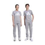 adidas Gri Erkek Çocuk Sweatpant JV9915 J BL FT PT 280