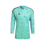 Adidas HB1613 Con22gk Jsy L P Erkek Futbol Forması