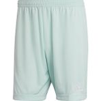 Adidas HC5051 ENT22 SHO Yeşil Erkek Futbol Maç Şortu