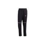 Adidas HM8441 Erkek Yürüyüş Eşofman Altı