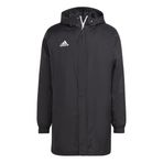 Adidas IB6076 Entrada 22 Stadium Siyah Erkek Mont
