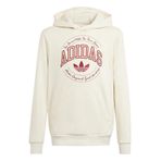 Adidas IN0623 Krem Hoodie Günlük Çocuk Sweatshirt