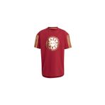 Adidas IN7306 Kırmızı LK DY 100 T Günlük Çocuk T-shirt