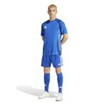 Adidas IR9378 Tiro24 SHO Mavi Erkek Futbol Antrenman Şortu
