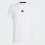 Adidas IS3808 Designed For Training Antrenman Erkek T-Shirt