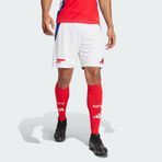 Adidas IT6139 Arsenal 24/25 İç Saha Erkek Şortu