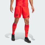 Adidas IT8513 FC Bayern 24/25 İç Saha Erkek Şortu