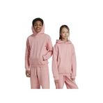 Adidas IV7116 Pembe J SZN GFX HD Günlük Çocuk Sweatshirt