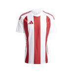Adidas IW2142 Striped 24 Futbol Erkek Forma
