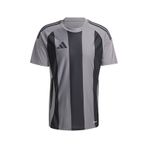 Adidas IW2145 Striped 24 JSY Gri Erkek Futbol Forması