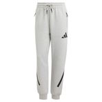 Adidas JD9586 Gri W ZNE PT Günlük Kadın Eşofman Altı