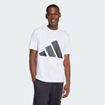 Adidas JE8943 Essentials Big Logo Erkek T-Shirt
