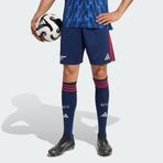 Adidas JI9512 Arsenal 25/26 Deplasman Erkek Şortu