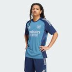 Adidas JJ1788 Arsenal Tiro 25 Competition Erkek Antrenman Forması
