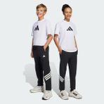 Adidas JJ4808 Siyah Future İcons Erkek Çocuk Eşofman Altı