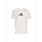Adidas JM8976 Climacool Category Training Graphic Erkek T-Shirt
