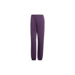 adidas Kadın Günlük Spor Pantolon JX0445 W FI SL PT