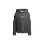 adidas Kadın Siyah Sweatshirt W ALL SZN HL HD JX4346