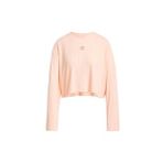 adidas Kadın Sweatshirt ESS WR LS JD5122