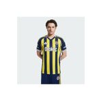 Adidas KD7282 Fenerbahçe 25/26 İç Saha Futbol Erkek Forma