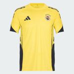 Adidas KL5486 Fenerbahçe Tiro25C Antrenman Training Erkek Futbol Forma