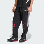 Adidas Lifestyle KD5866 Erkek Teamgeist Adicolor Eşofman Altı