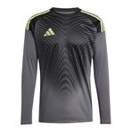 adidas Performance Tiro 25 Competition kaleci forması, gri, M erkek