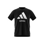 adidas Siyah Erkek Yuvarlak Yaka Normal Kalıp T-Shirt JE2735 ISTANBUL TEE, S, 5003165861
