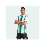 Adidas Striped 24 Jsy Erkek Futbol Forması Yeşil Iw2148