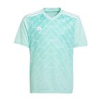 Adidas T Icon23 JSY Clemin Erkek Forma