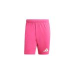 adidas T24 P Gk Sho Erkek Futbol Kaleci Şortu Pembe