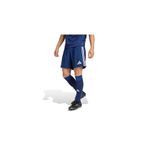 adidas Tastigo25 Sho M Erkek Futbol Antrenman Şortu JN7158 Renkli