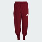 Adidas Team Türkiye Seromoni Kadın Eşofman Altı - Bordo