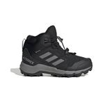Adidas Terrex Mid Gore-tex Bot 001