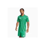 adidas Tiro 25 Team Icon Erkek Forma