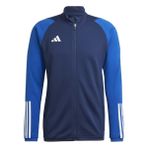 adidas Tiro23 C Tr Jkt Tracksuit erkek montu