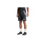 adidas TIRO24 C TR SHO Erkek Şort IL8256