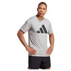 Adidas TR-ES FR Logo T Mgreyh Black Erkek T-shirt