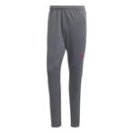 Adidas Tr-Es+ Pant Grefiv Betsca Erkek Eşofman Altı