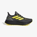adidas Ultraboost 5 Gore-Tex Gri Koşu Ayakkabısı, 39, NLI74, Carbon/Core Black/Grey Fou, Erkek