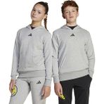 adidas Unisex Çocuk Gri Sweatshirt J SMI HOODIE JD3288 - 7 - 8 Yaş