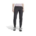 adidas W Terrex Xperior Lt P Kadın Outdoor Koşu Pantolonu IQ1403 Siyah